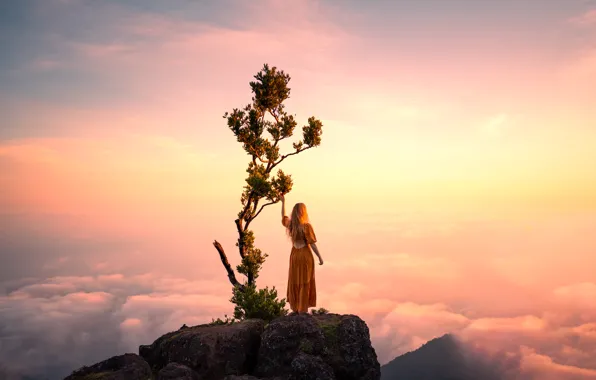 The sky, girl, clouds, mountains, branches, nature, pose, fog