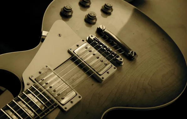 Macro, strings, electric guitar, the paul