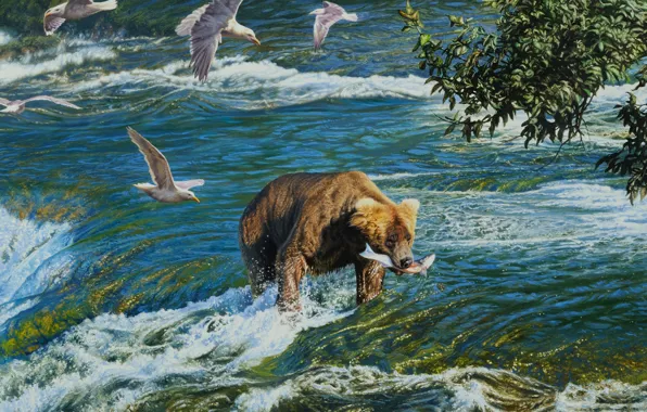 Birds, river, picture, bear, hunting