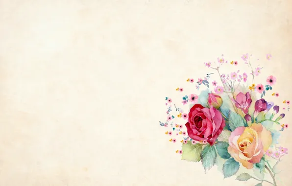 Flowers, canvas, postcard, template, blank
