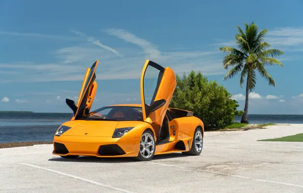 Picture orange, Lamborghini, Lambo, Murcielago, Lamborghini Murcielago LP640