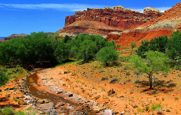 Picture the sky, trees, stream, rocks