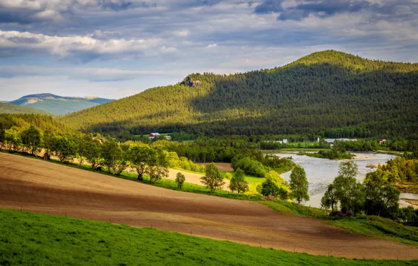 Trees, mountains, river, field, Norway, houses, forest, meadows