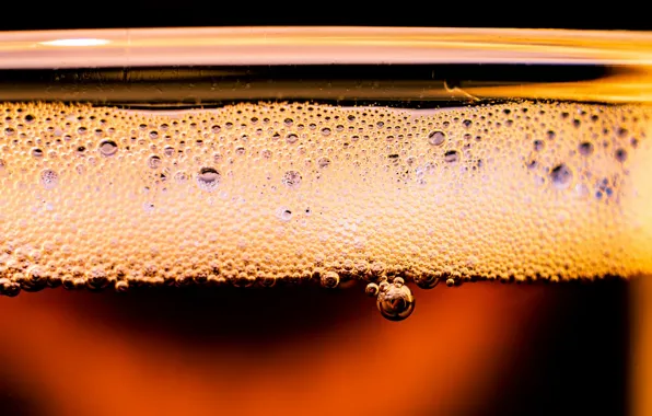 Foam, macro, beer