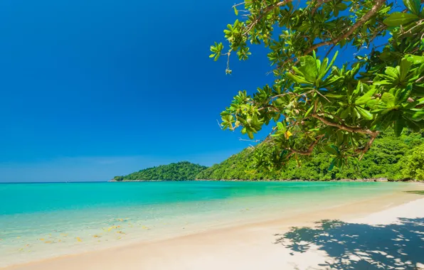 Sand, beach, summer, nature, tropics