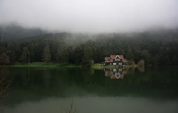 Forest, fog, lake, Turkey, Bolu, Galgut