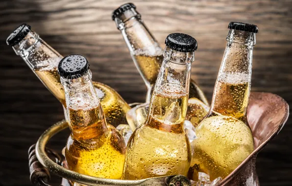 Picture ice, drops, close-up, bottle, beer, wet, bucket, bokeh