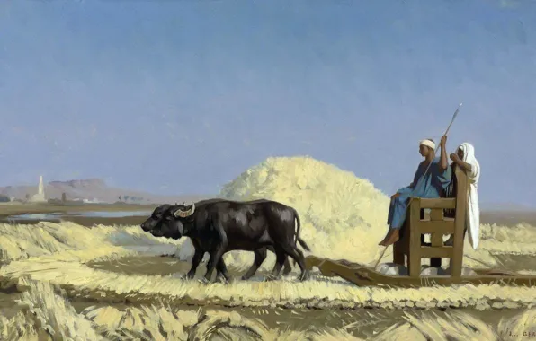 Picture, genre, Jean-Leon Gerome, The Egyptian Reapers
