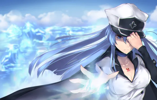 Wallpaper girl, ice, anime, art, esdeath, akame ga kill for mobile