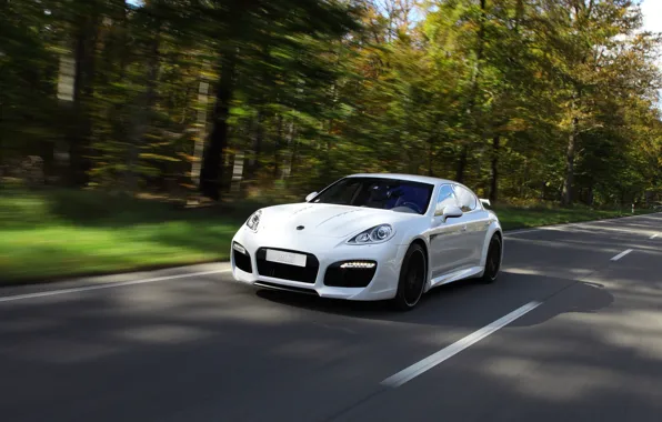 Picture road, white, speed, Porsche, Wood