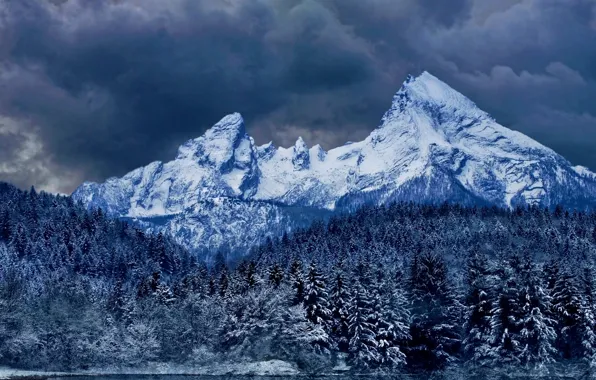 Picture winter, forest, the sky, clouds, snow, mountains, clouds