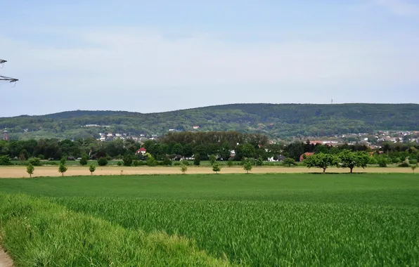 Green, hills, spring