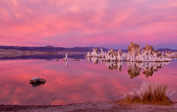 Picture grass, lake, stones, shore, CA, USA, California, U.S.A.