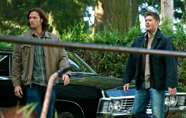 Picture the series, Supernatural, Supernatural, Sam, Dean