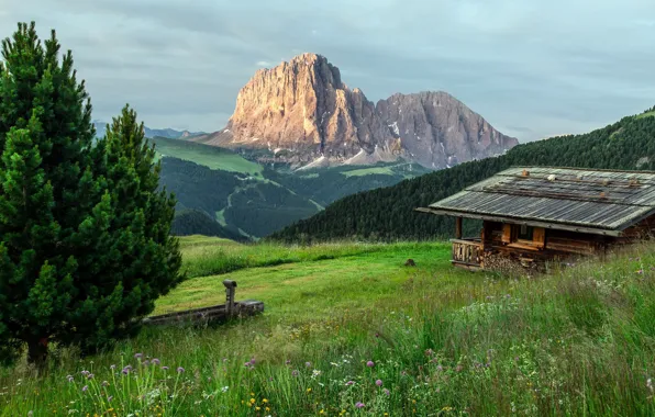 Landscape, nature, house, mountain
