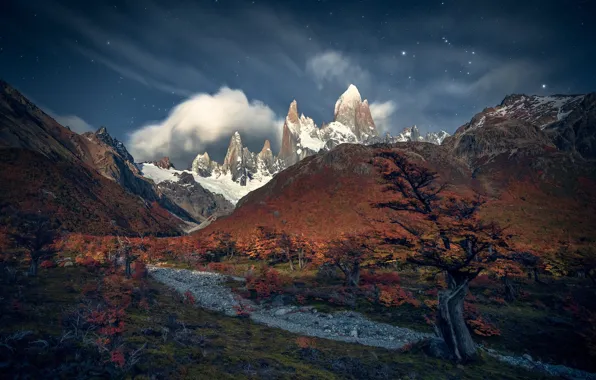 Autumn, the sky, stars, clouds, snow, trees, mountains, night