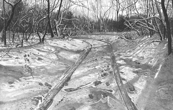 Nature, graphics, pagai, malyshev roman the artist