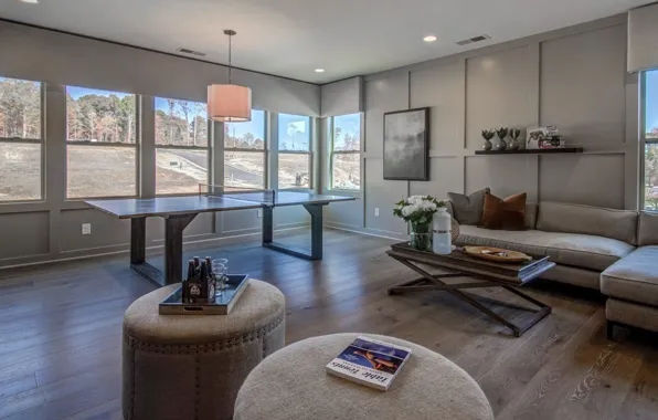 Design, style, interior, Billiards, games room, area