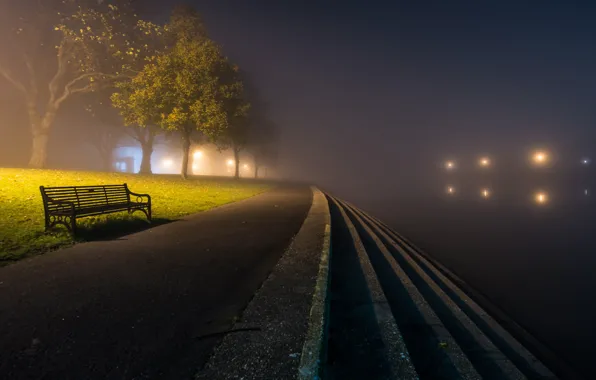 Night, the city, fog, bench