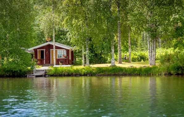 Picture forest, grass, trees, nature, lake, house, plants, house