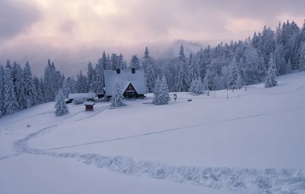 Picture winter, clouds, snow, landscape, nature, fog, house, hills