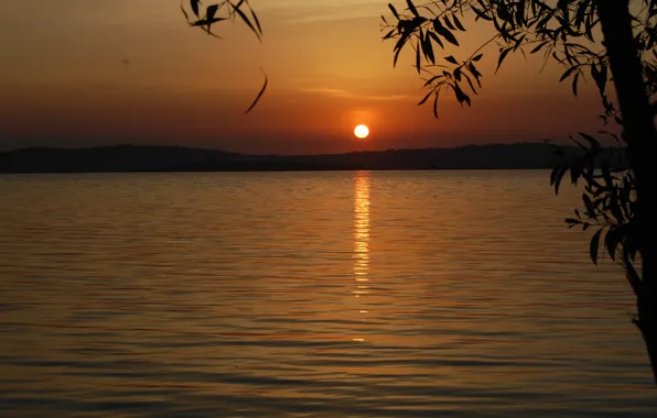 Sunset, The sky, Water, Nature, Leaves, Nature, Sky, Water