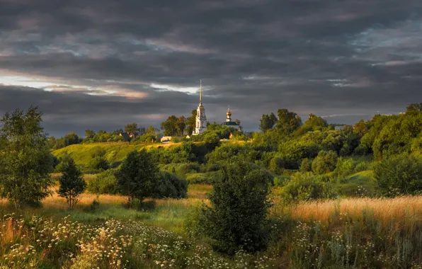 Greens, field, summer, the sky, grass, trees, flowers, clouds