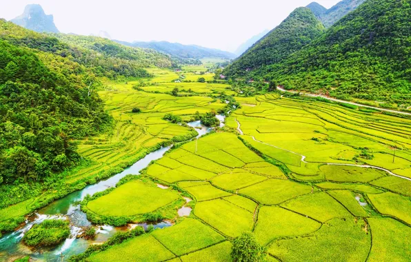 Road, greens, field, forest, mountains, river, valley, Vietnam