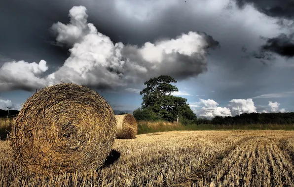 Field, the sky, landscape, nature, hay