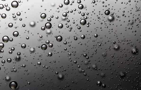 Macro, bubbles, background, a lot