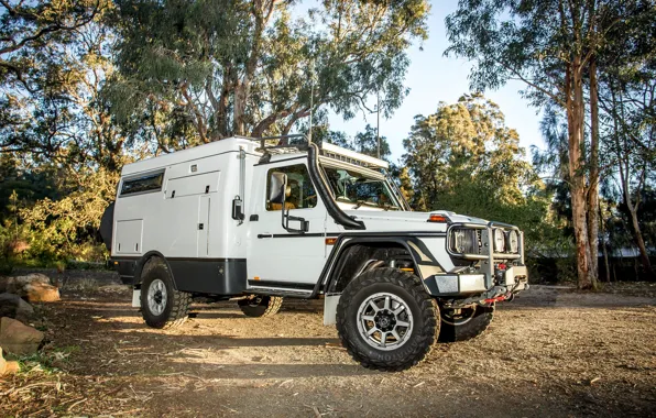 Trees, Mercedes-Benz, SUV, G-Class, Escape, 2019, Earthcruiser