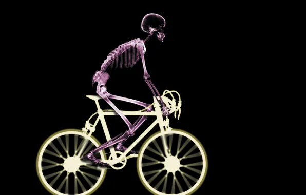 Picture bike, skeleton, x-ray