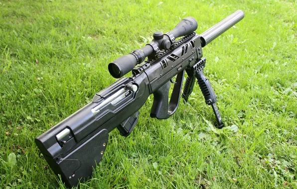 Grass, SS tikka T3 Ctr, long range rifle