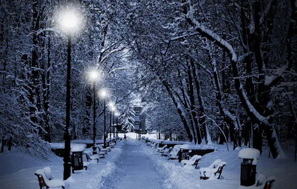 Picture winter, snow, trees, lights, Park, the evening, lights, benches