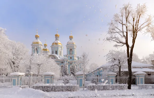 Winter, frost, the sky, snow, trees, branches, the city, tree