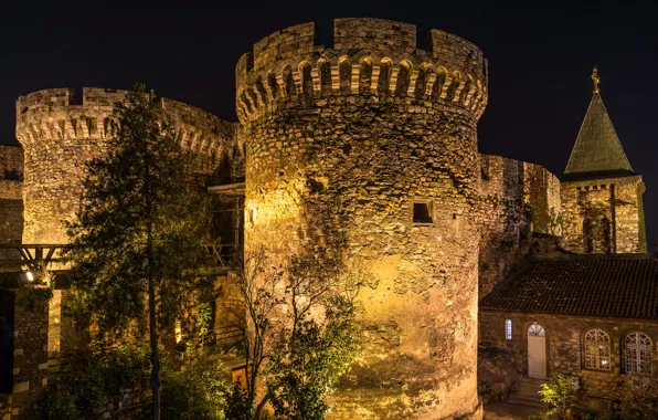 Trees, night, lights, wall, lights, tower, fortress, Serbia