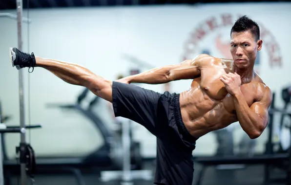 Actor, muscle, muscle, press, pose, Writer, gym, bodybuilder