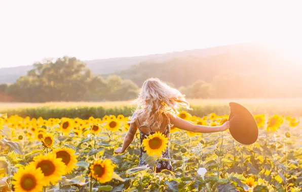 Girl, sunflowers, hat