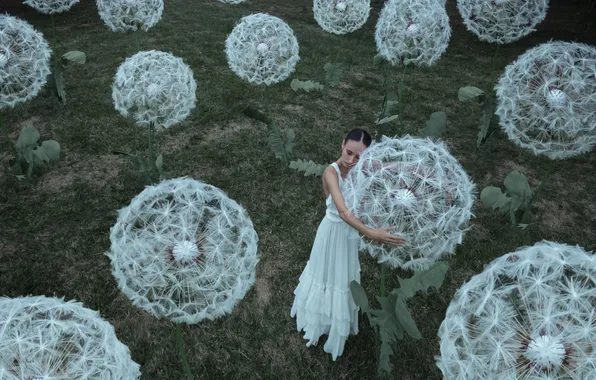 Girl, flowers, nature, pose, style, glade, the scenery, dandelions