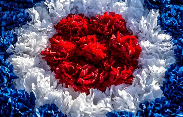 Red, white, texture, blue