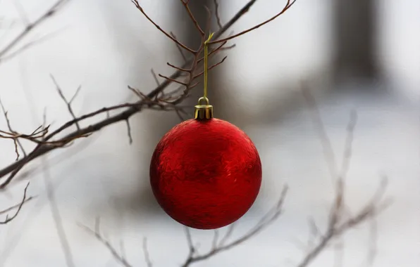 Picture background, mood, twigs, Christmas toy
