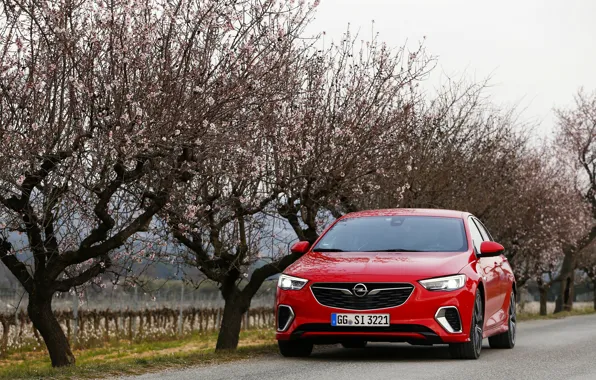 Trees, red, Insignia, Opel, Insignia GSi