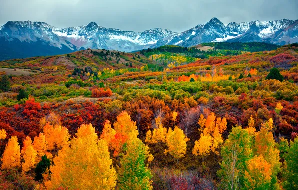 Picture autumn, forest, the sky, clouds, trees, landscape, mountains, nature