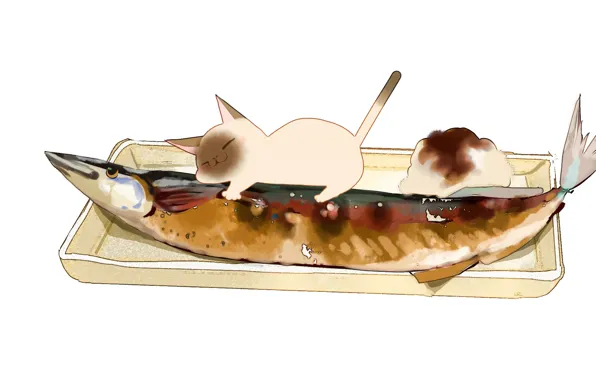 White background, lies, dish, garnish, Siamese cat, kicks, fish baked, by drawing chisanne