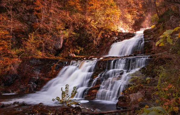 Forest, light, rocks, waterfall, stream, cascade, shrubs