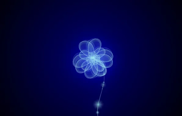 Flower, background, to celebrate, download