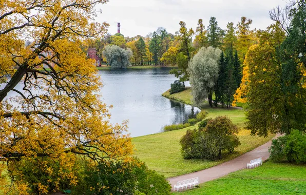 Autumn, pond, Russia, Russia, Peter, Saint Petersburg, St. Petersburg, Tsarskoye Selo