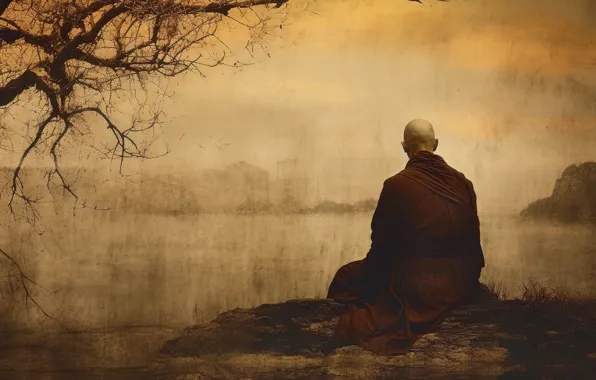 Branches, tree, shore, meditation, monk, male, painting, pond