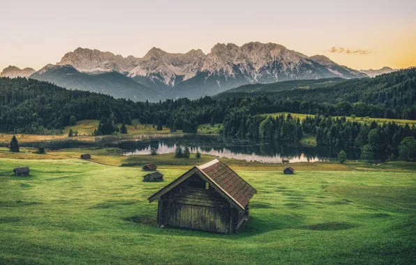 Field, forest, summer, the sky, grass, mountains, nature, green