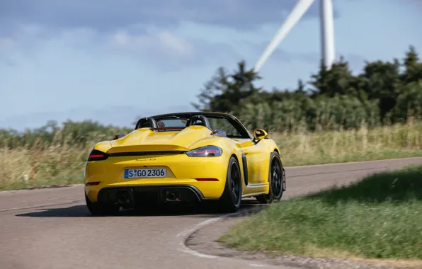 Porsche, rear view, 718, Porsche 718 Spyder RS